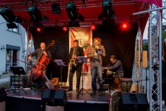 Fritz-Salm-Straßenfest_076
